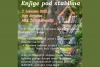 Novi termin za Knjige pod stablima u Parku Striježice, prijave otvorene do 5. kolovoza